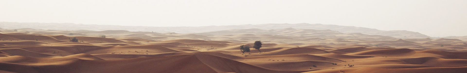 ݲƼ޹˾